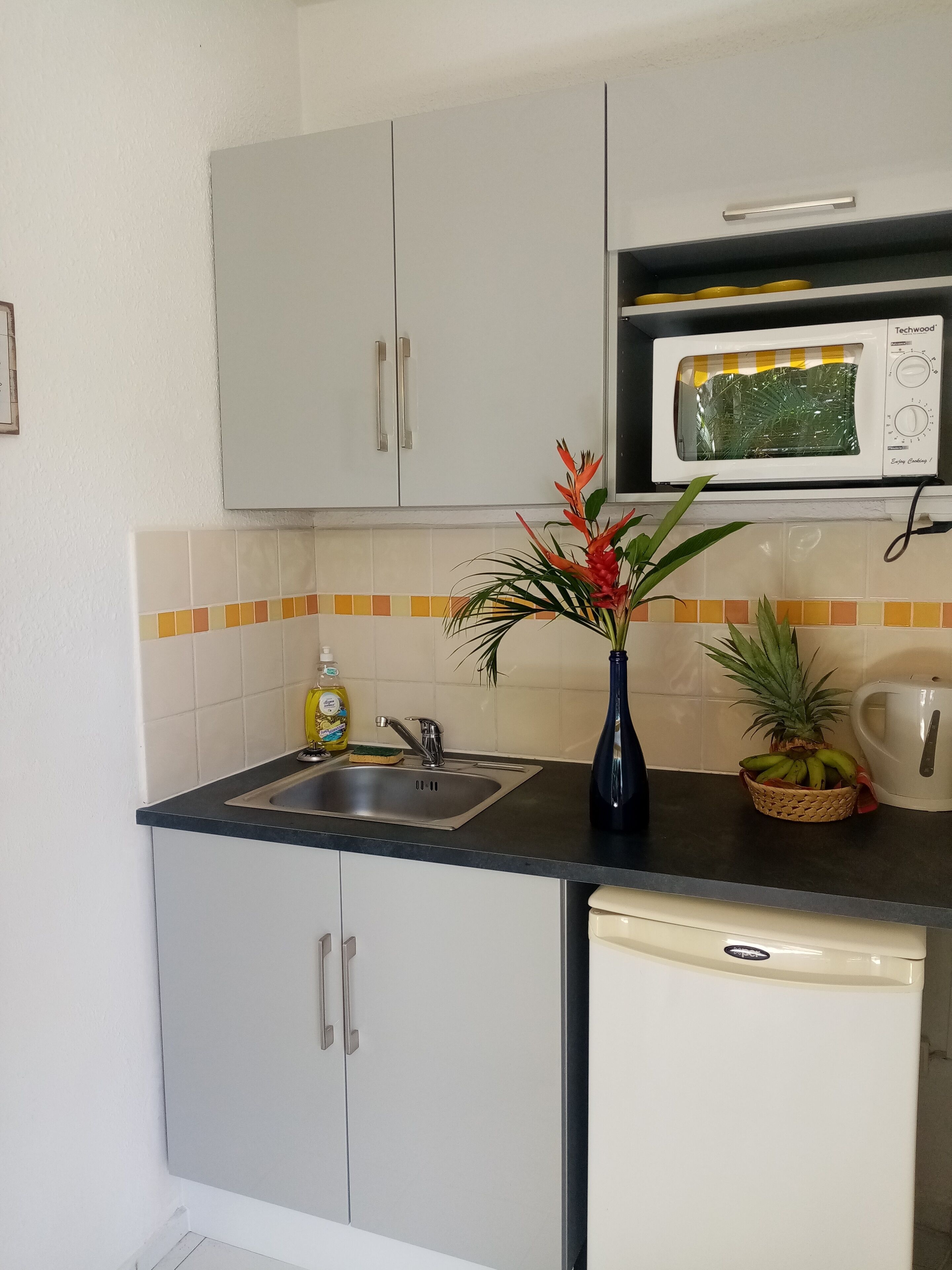 A compact kitchen with a sink, a microwave, and a small refrigerator.