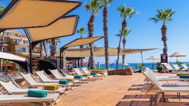 A beachside lounge area with sun loungers, palm trees, and umbrellas.