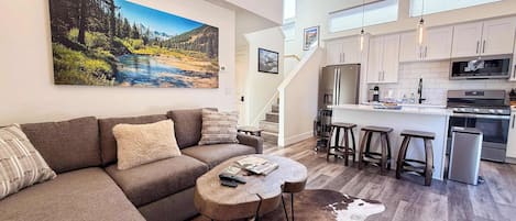 TV, fireplace, computer monitors