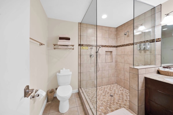 Shower, hair dryer, towels