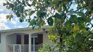 Ein Haus mit Veranda, Kübelpflanzen und einem Schotterweg.