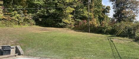 A backyard with a lawn, a barbecue grill, and a stone wall.
