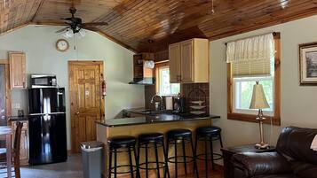 Smart TV, fireplace, DVD player, books