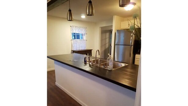 A modern kitchen with a black countertop, stainless steel appliances, and pendant lighting. - Quiet Private Country Cottage (Riverton)