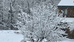 A snow-covered landscape with a tree in the foreground and a building in the background. - Enjoy Fall Foliage in Renov End Unit Townhouse with Fireplace (Dover)