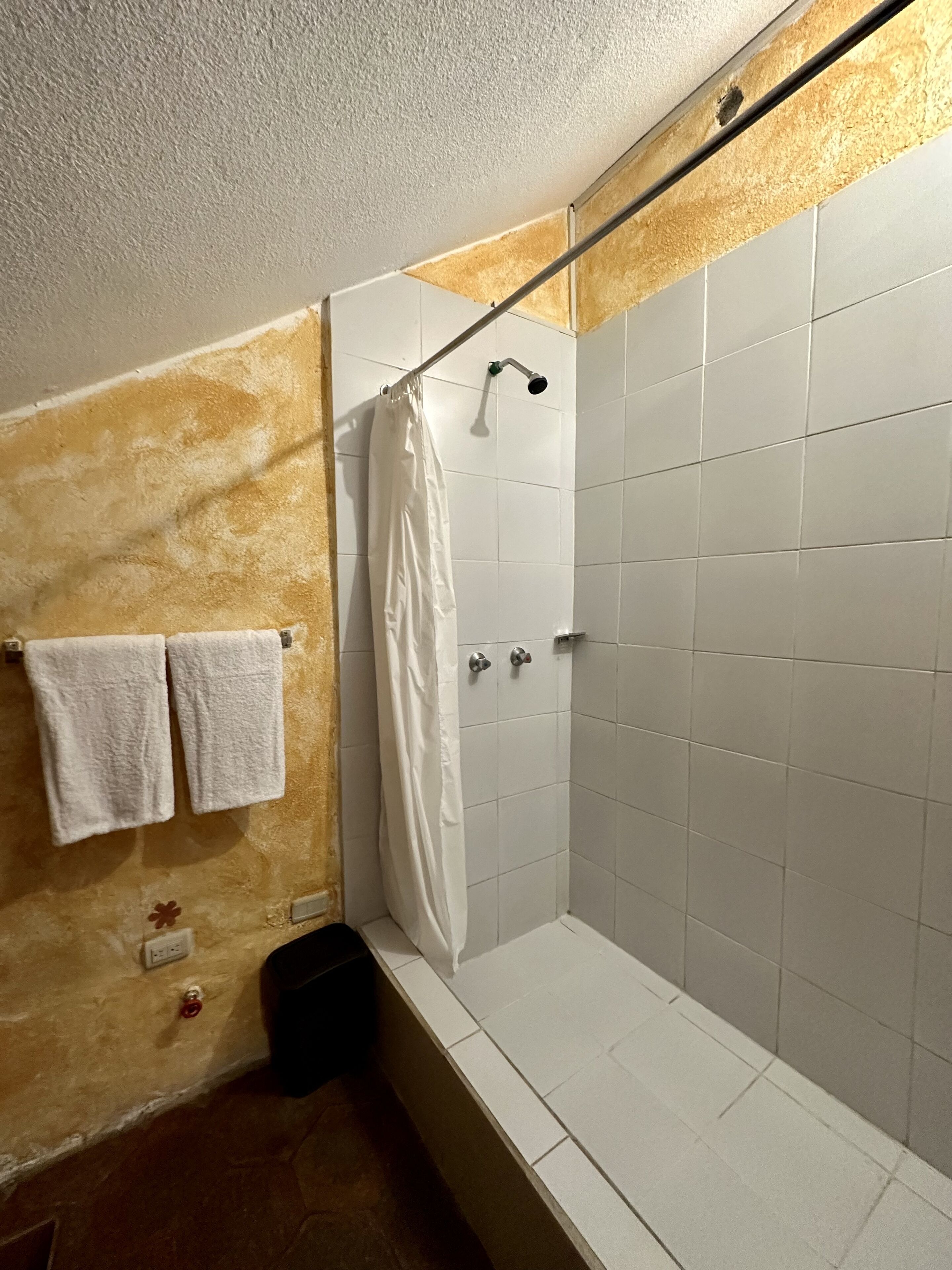 Photo - NASS Central Garden