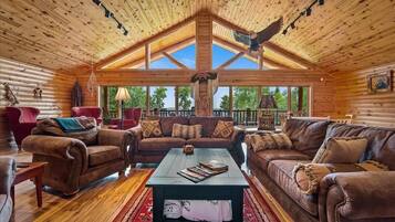 TV connectée, cheminée, livres, espaces bureaux