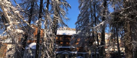 Una cabaña nevada con fachada de madera y techo cubierto de nieve, rodeada de altos árboles cargados de nieve.