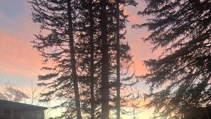 Uima-allas, jonka pinnasta heijastuvat puut ja auringonlaskun värittämä taivas.