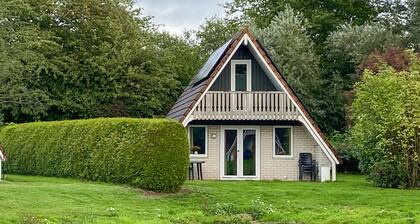 Pet friendly home in Gramsbergen