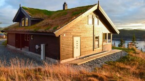 Een houten hut met een groen dak, een garage en uitzicht op een meer en bergen.