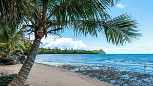 Una playa con una palmera, agua azul cristalina y una montaña distante.
