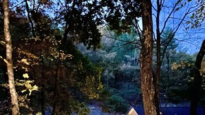 A cabin with a stone exterior, surrounded by trees and a gravel path. - The Ravine • Hot Tub Forest Escape, Epic Gameroom, Fast WIFI & Pet Friendly (Basye)