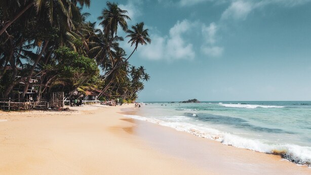 A beach with palm trees, a sandy shore, and a calm sea. - Villa Ananta - 3 Bedroom (Hikkaduwa)