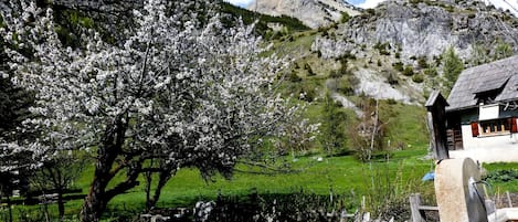Enceinte de lâhĂ©bergement