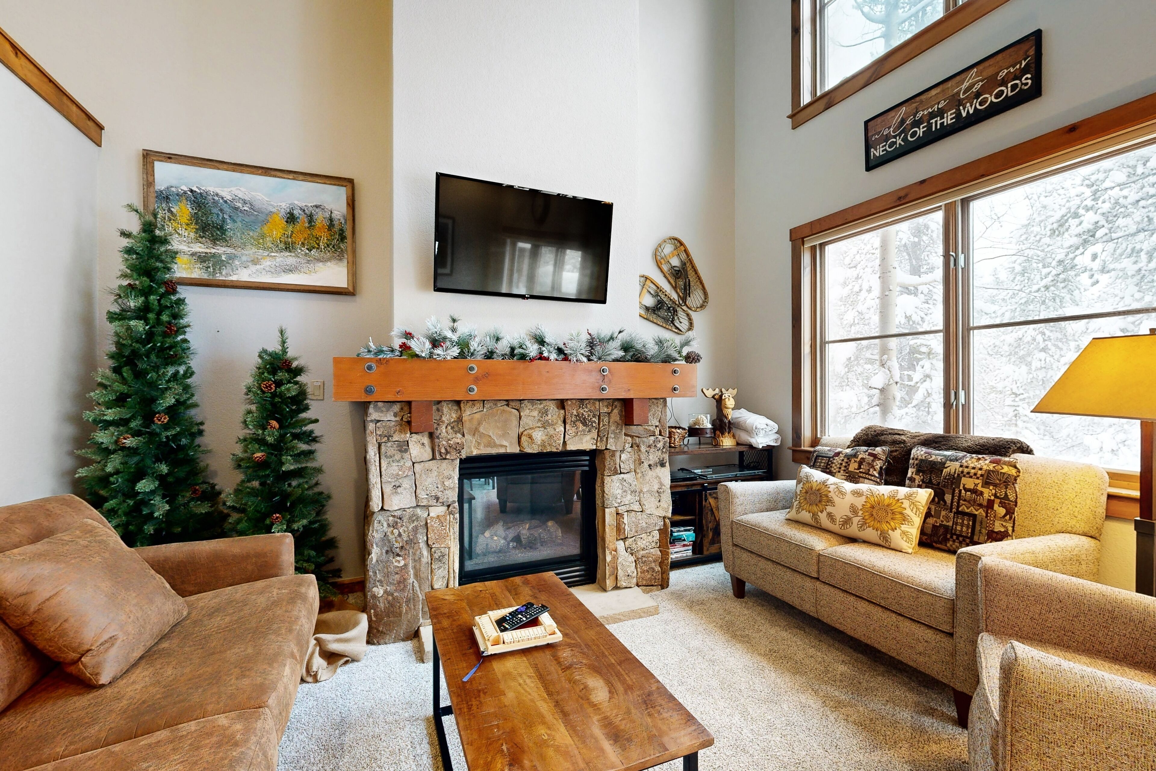 TV, peis, DVD-spiller og bøker