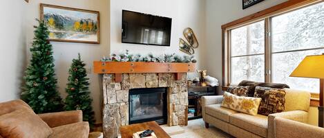 Televisio, takka, DVD-soitin, kirjoja