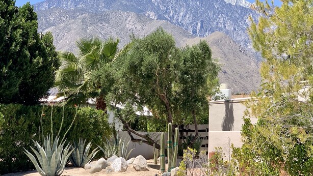 Un jardín desértico con cactus y árboles, un edificio con un letrero y una cadena montañosa al fondo.