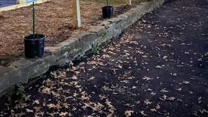 Un espace de stationnement réservé aux invités, agrémenté d’une pancarte « Bienvenue » et d’une autre indiquant « Stationnement réservé aux invités », le tout entouré de guirlandes lumineuses et de poteaux en bois.
