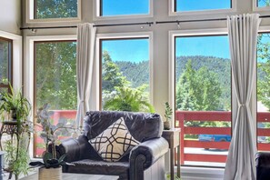 Smart TV, fireplace, DVD player - Newly remodeled ★ PIKES PAEK★Charis ★ Close to City Center★ License #008138 (Woodland Park)