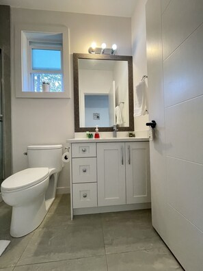 A bathroom with a toilet, a sink with a mirror, and a towel rack. - AC one bedroom unit in a quiet neighborhood (Mission)