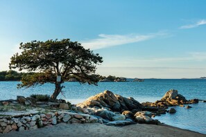 A coastal landscape with a prominent tree, rocky shoreline, and calm water. - Casa Emozione With Shared Pool (Olbia)