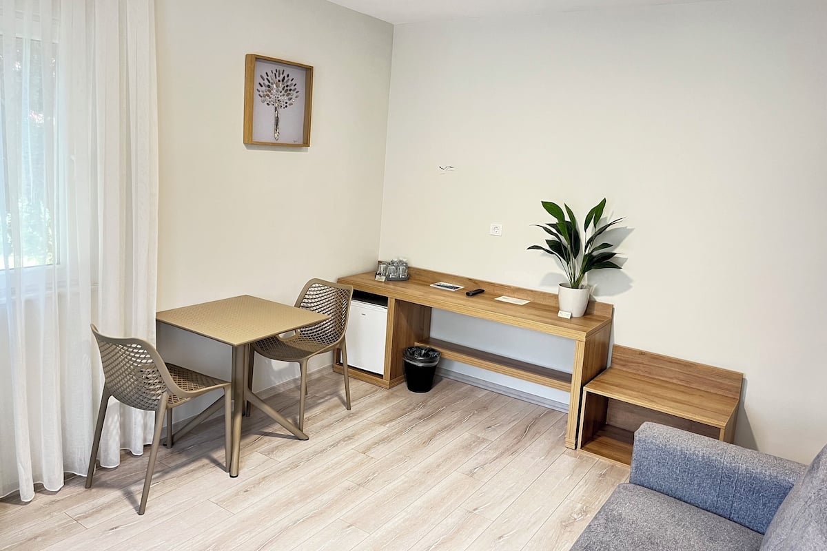 A room with a wooden desk, two chairs, a small potted plant, a sofa, and a window with sheer curtains.