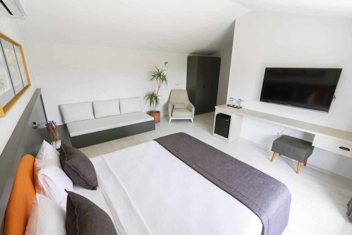 A modern bedroom with a large bed, a seating area, a TV, and a potted plant.