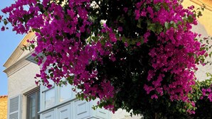 A stone building with a sign reading "ZENA HOTEL". - Zena Hotel Alaçatı Adults Only (Cesme)