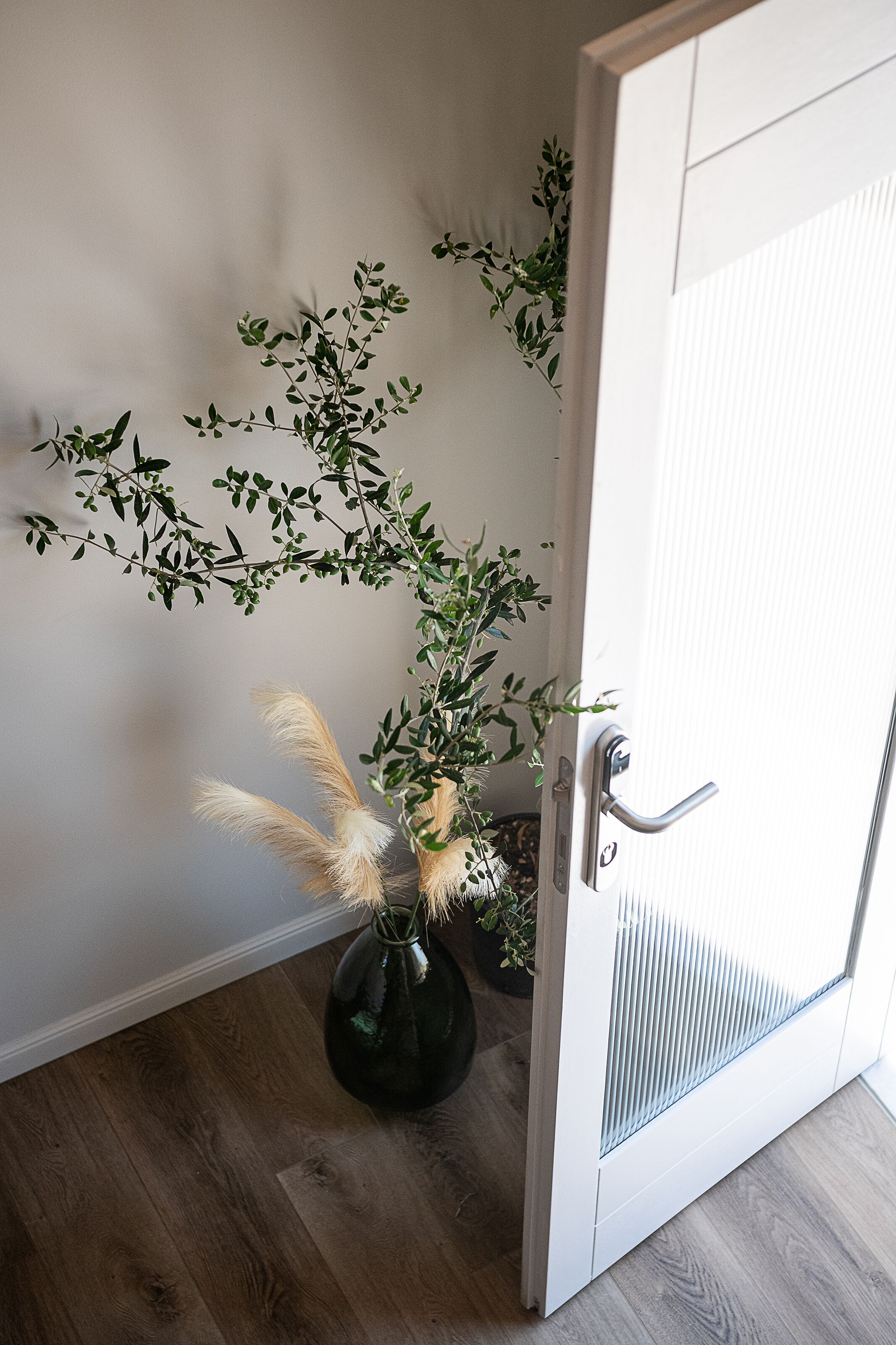 Une pièce avec un plancher en bois, une porte blanche et une plante verte dans un vase.