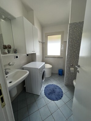 Shower, hair dryer, bidet, toilet paper