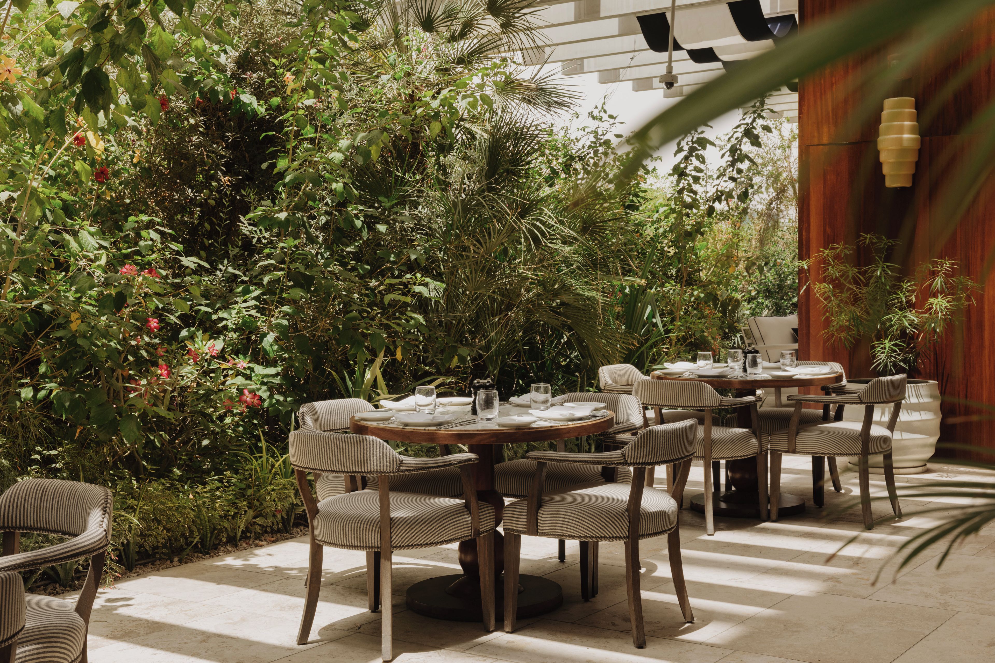 Un área de comedor al aire libre con mesas redondas y sillas a rayas, rodeada de follaje y plantas frondosas.
