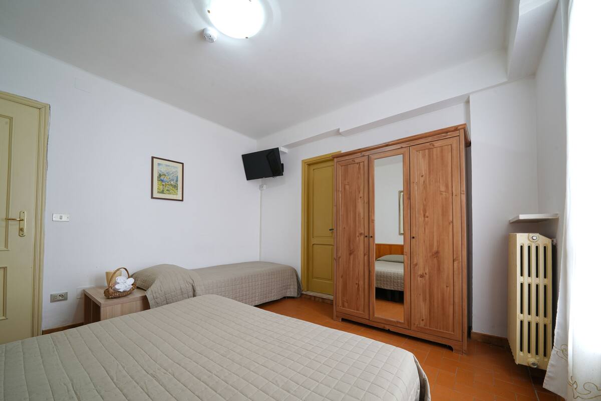 A bedroom with a bed, a wardrobe, a television, and a radiator.