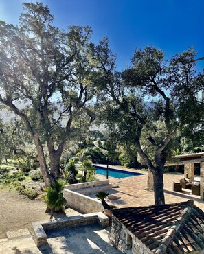 A pool area with stone steps leading to a pool, surrounded by trees and a patio with outdoor furniture. - Domaine du Reginu (Feliceto)