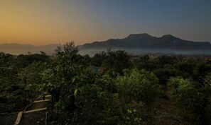 施設からの眺望