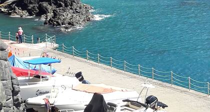 Willst DU Meer - Bitte Sehr !