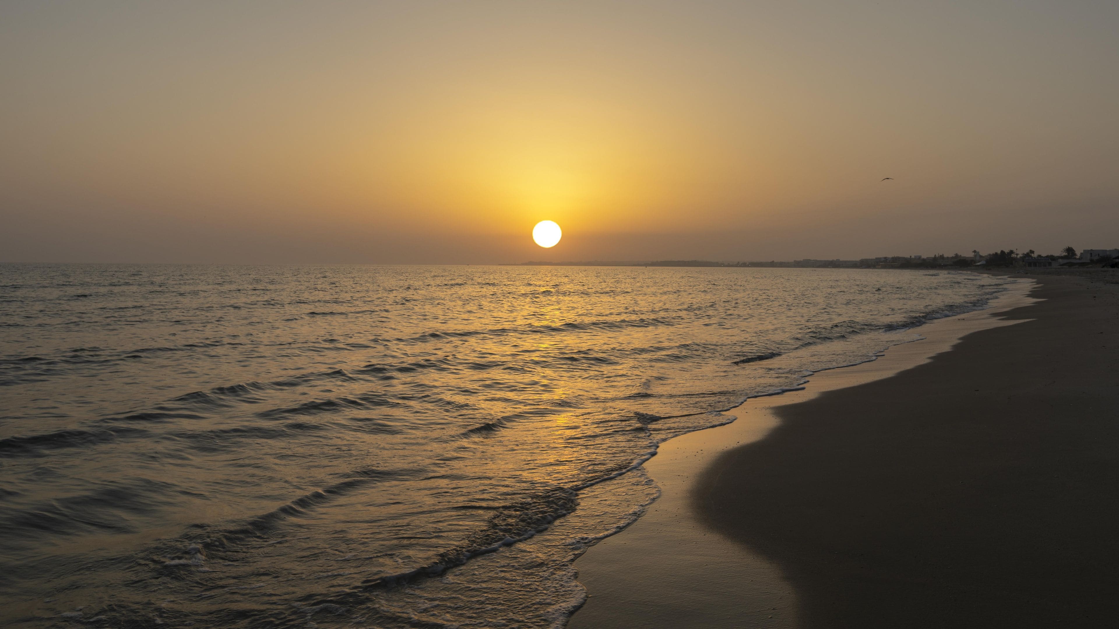A beach with the sun setting over the water, waves gently lapping at the shore.