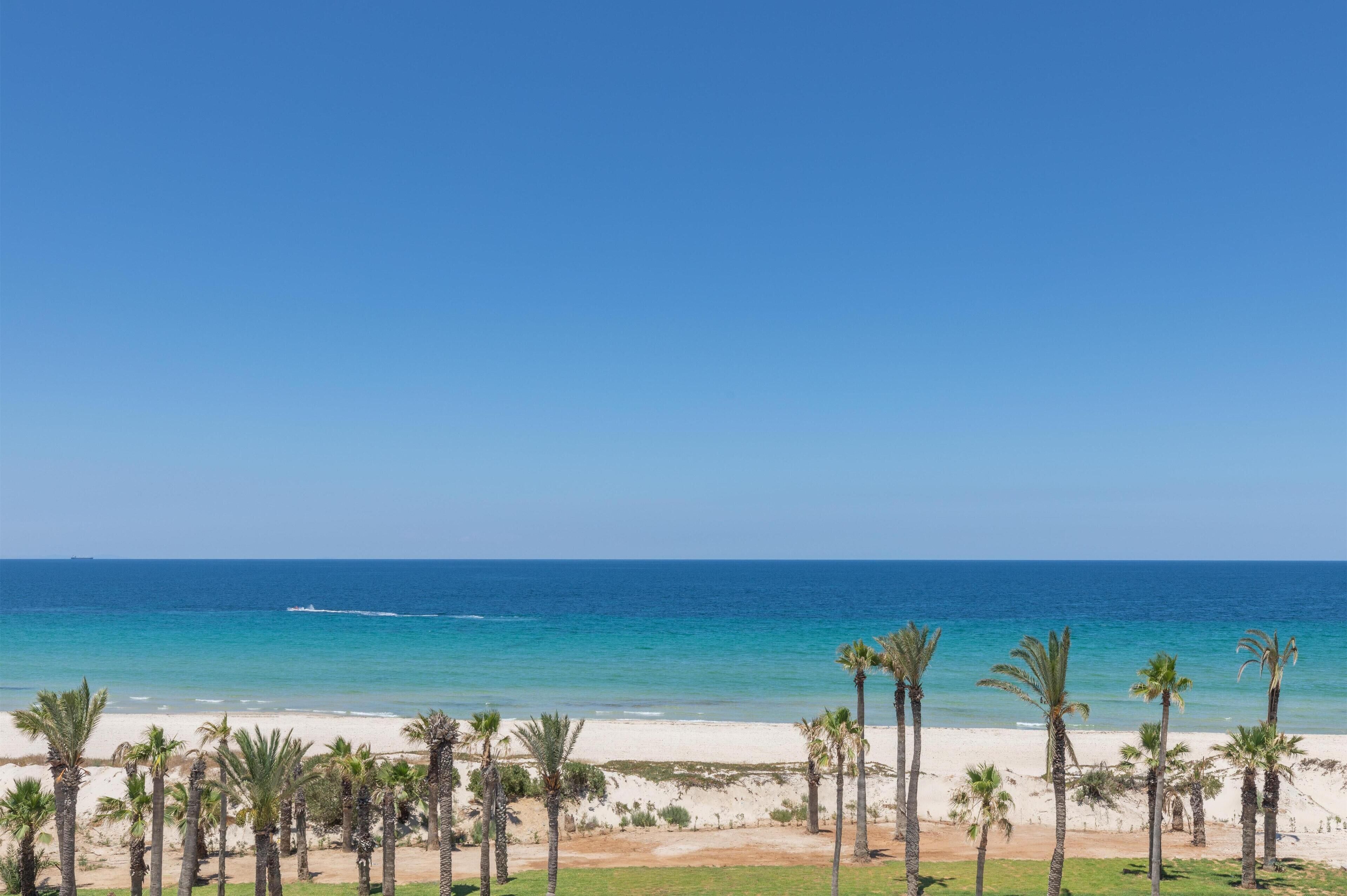 A beach with clear blue water, white sand, and palm trees.