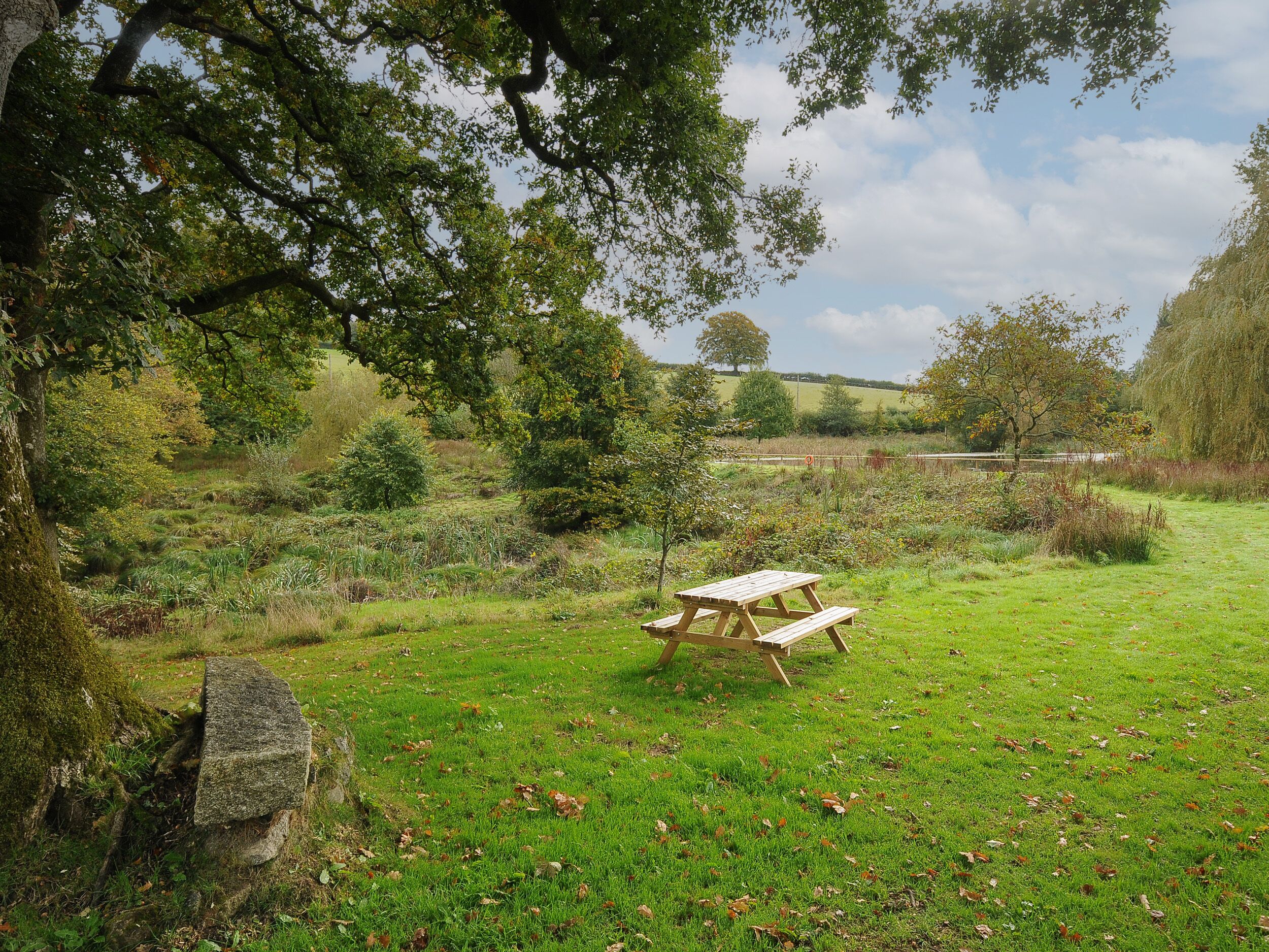 Ein Picknicktisch in einer grünen Wiese mit Bäumen und einer Steinstruktur im Vordergrund.