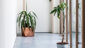 Un pasillo con una puerta de madera, dos plantas en macetas y lámparas geométricas colgantes.