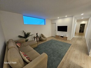 Smart TV, chimenea, reproductor de DVD y libros 