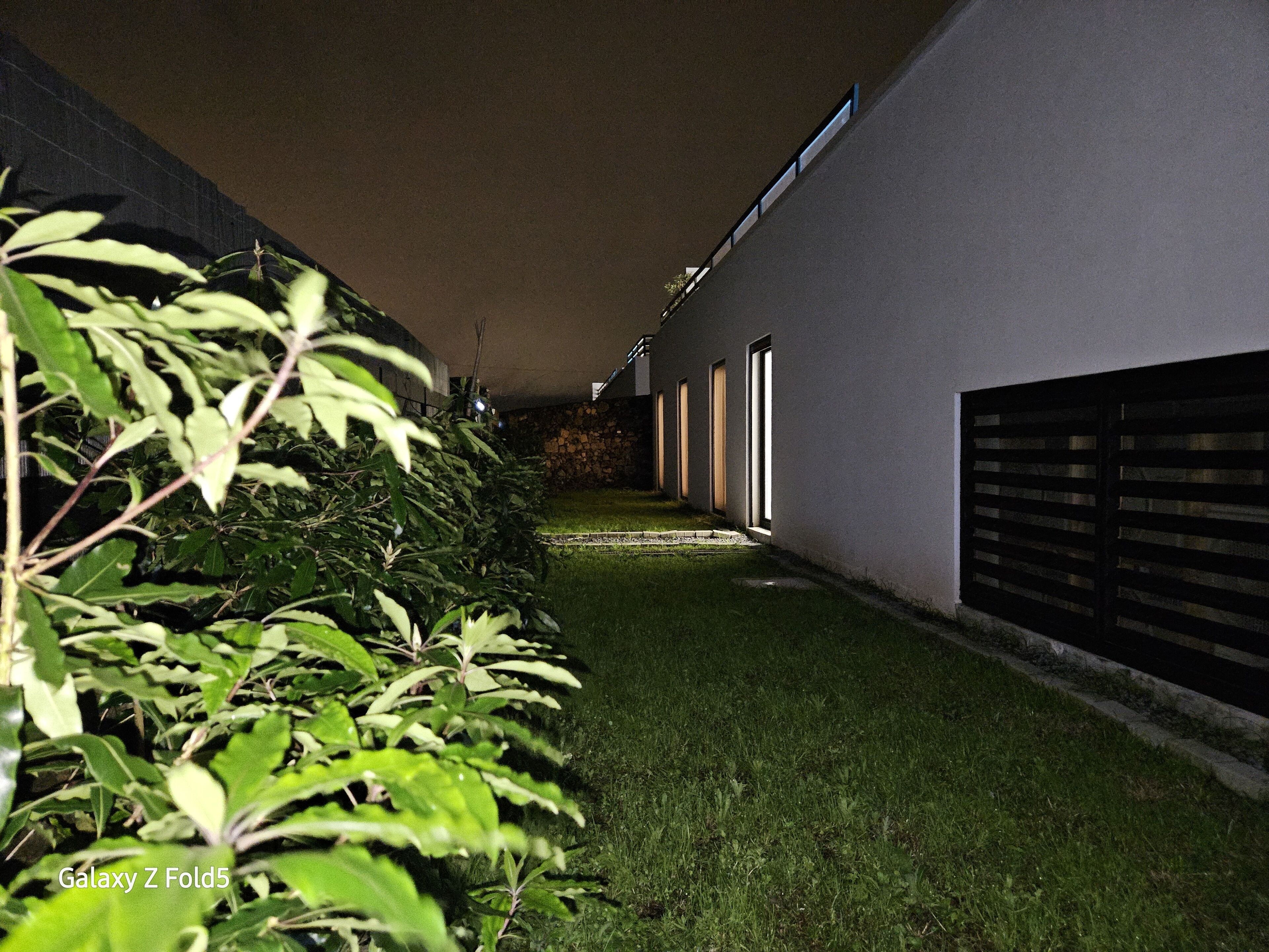 A narrow pathway flanked by lush greenery and a modern building with large windows.