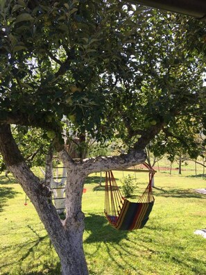 Casa (Two Bedroom House with Terrace) | Servicio de la propiedad