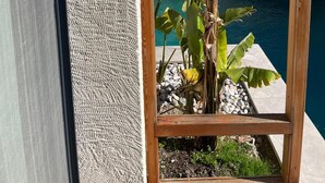 A poolside view with a wooden frame, a plant, and a stone wall in the background. - Chloe Alacati (Cesme)