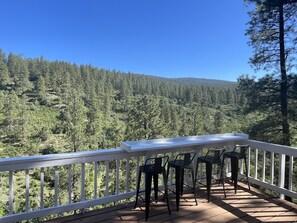 Property grounds - Updated Home on 2 Acres - 15 Minutes to Downtown Durango - Huge Deck w/ Views (Durango)