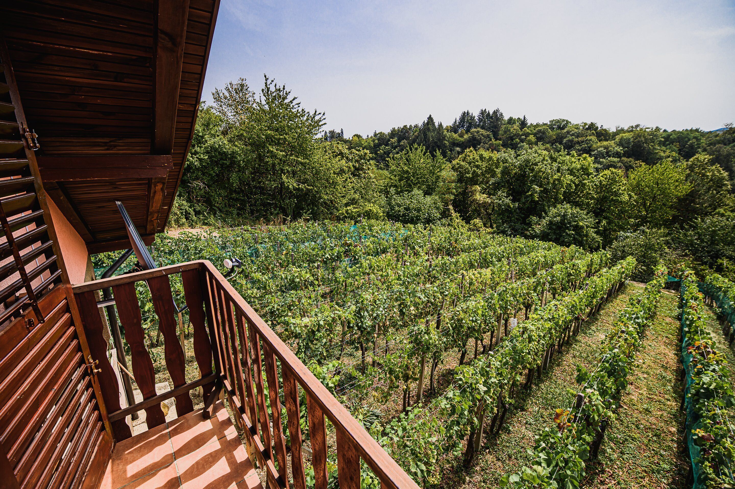 Holiday Home Vesna With Hot Tub