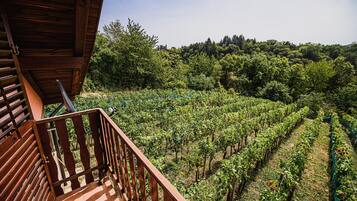Nhà (Holiday home Vesna) | Quang cảnh từ phòng