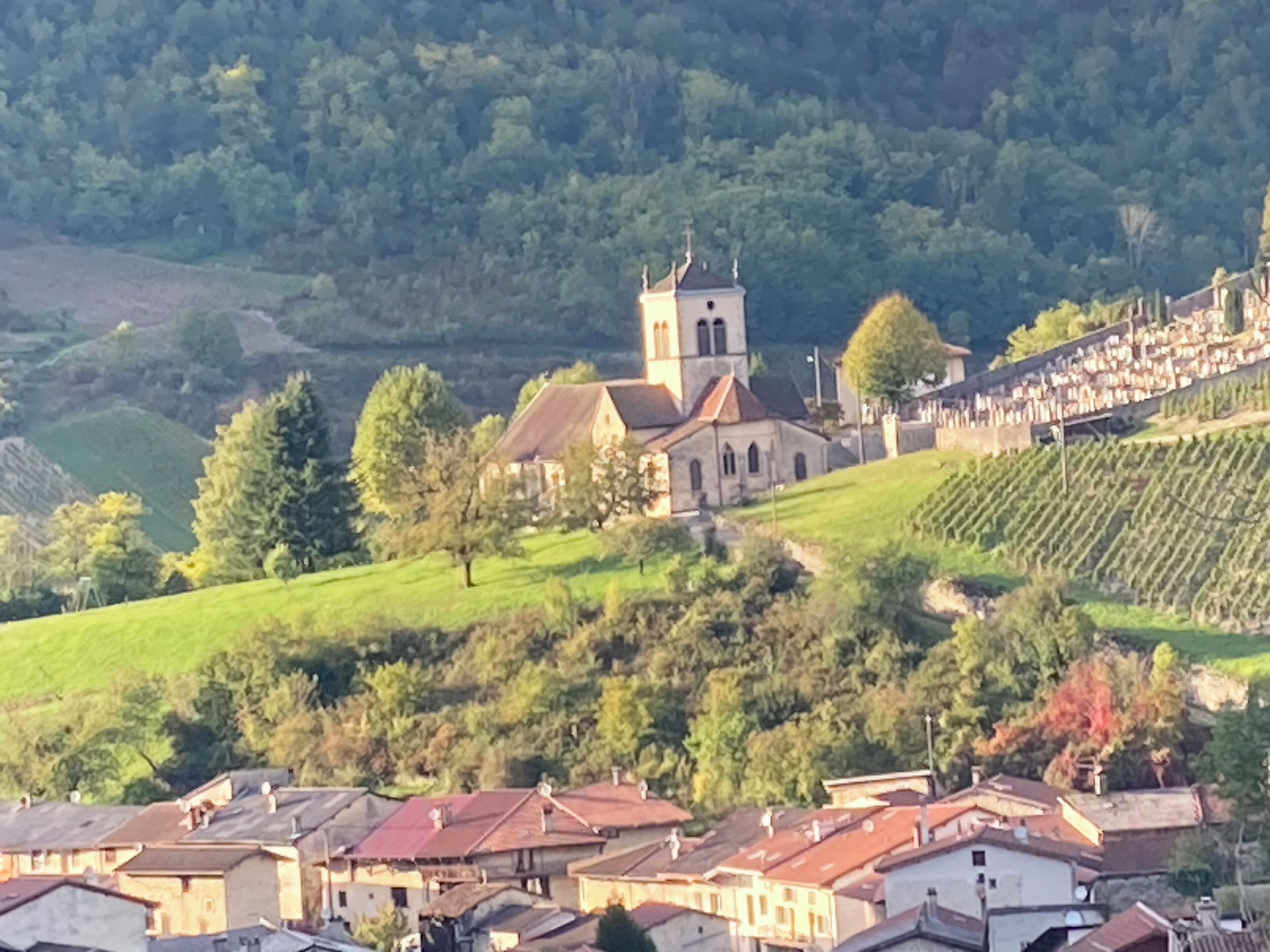 Una iglesia con un campanario, rodeada por un pueblo con viñedos en terrazas.