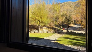 A window view of a grassy area with trees and a road.
