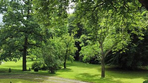 A park with a winding path, lush green grass, and trees.